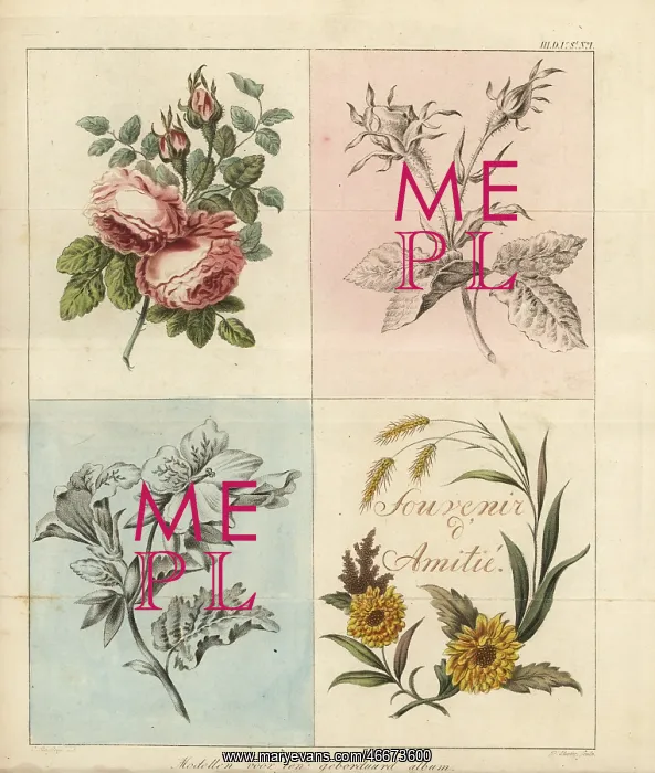: Models for an embroidery album : Models for an embroidery album