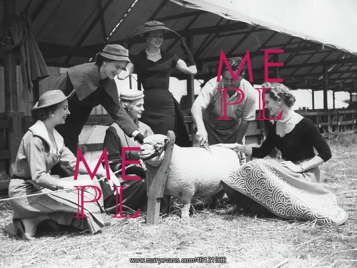 : Models with South Down sheep, England : Models with South Down sheep, England