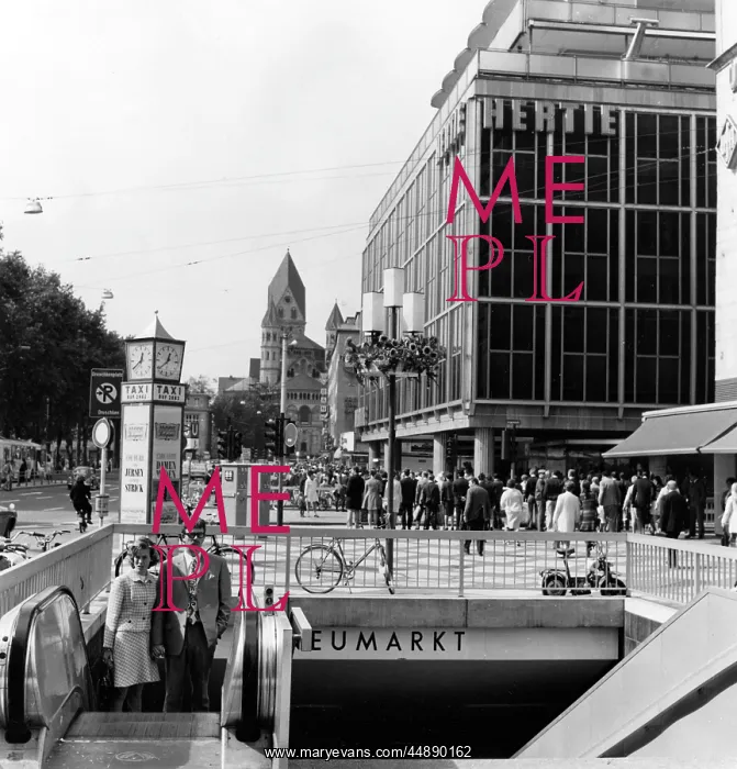  : MODERN COLOGNE