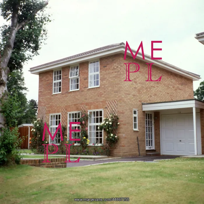 : MODERN DETACHED HOUSE : MODERN DETACHED HOUSE