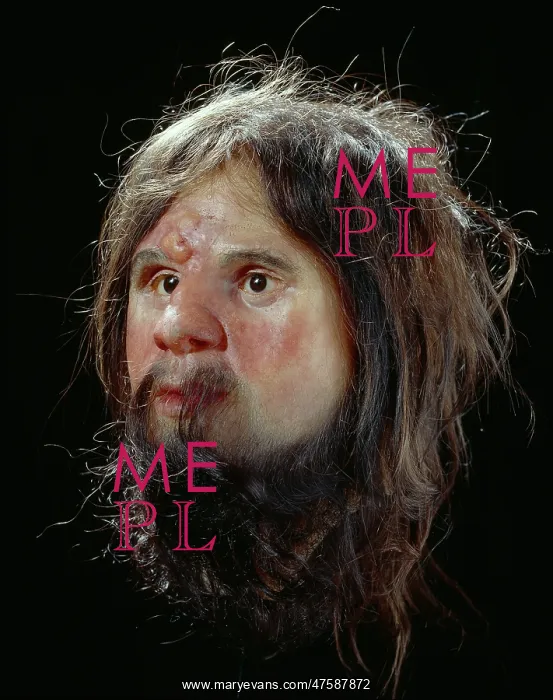: Modern Homo sapiens, Cheddar Man : Modern Homo sapiens, Cheddar Man