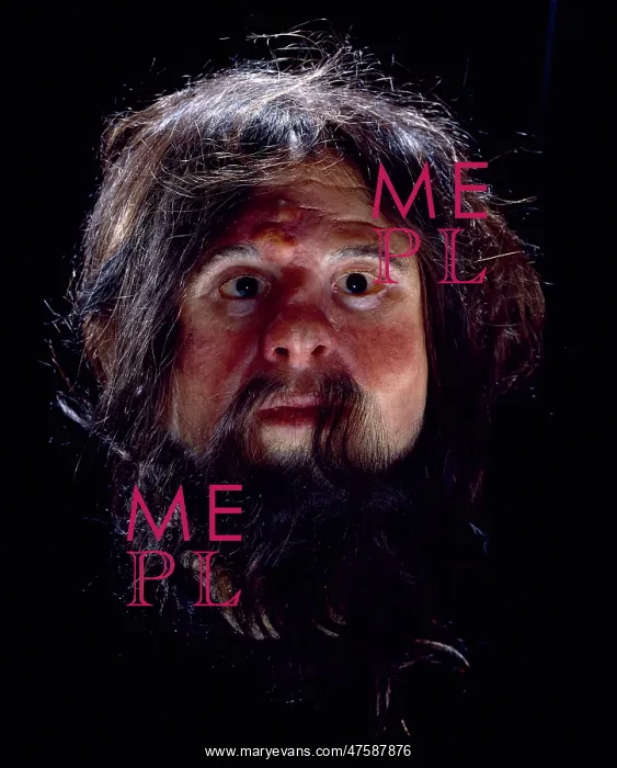 : Modern Homo sapiens, Cheddar Man : Modern Homo sapiens, Cheddar Man