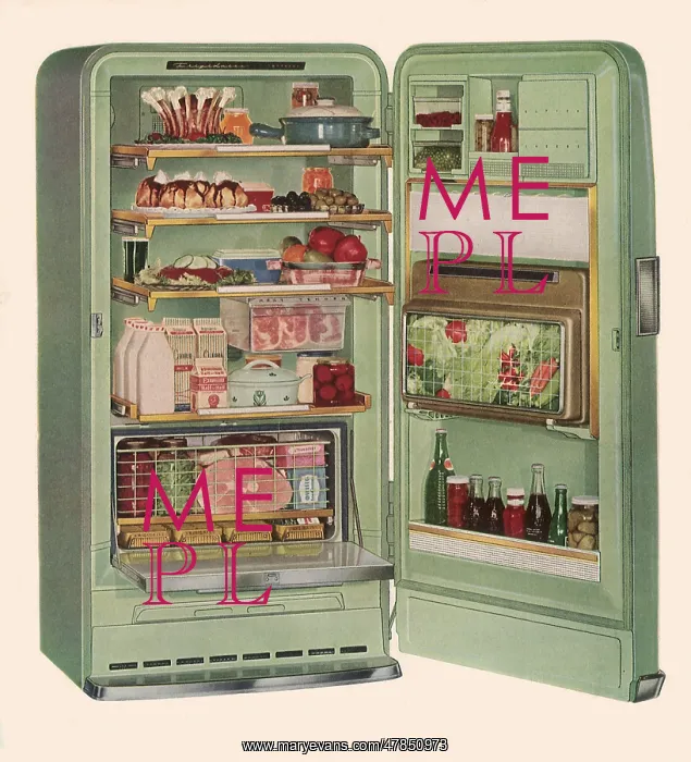 : Modern Refrigerator : Modern Refrigerator