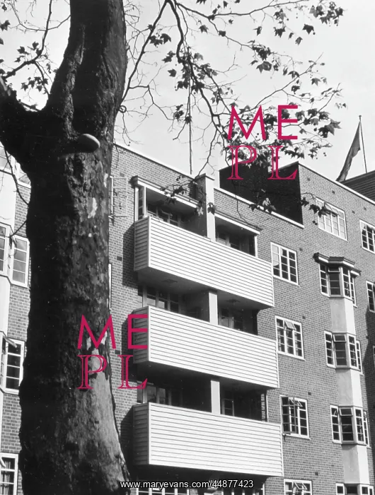 : MODERNIST FLATS : MODERNIST FLATS