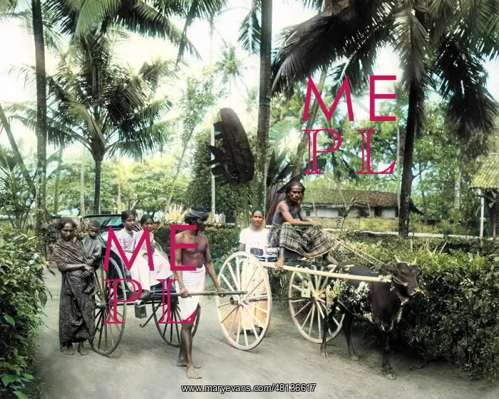 : Modes of transport, Ceylon (Sri Lanka) : Modes of transport, Ceylon (Sri Lanka)