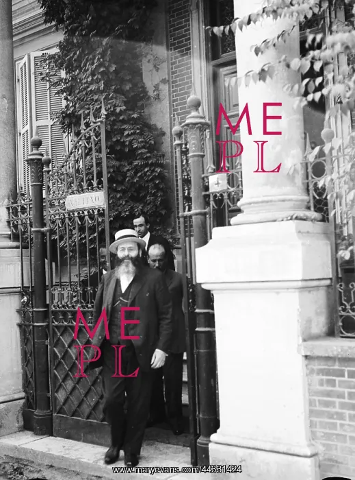 : Modigliani : Modigliani