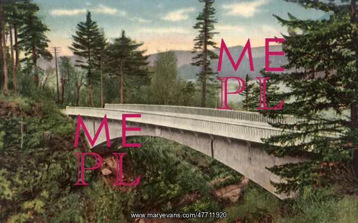 : Moffets Creek Bridge : Moffets Creek Bridge