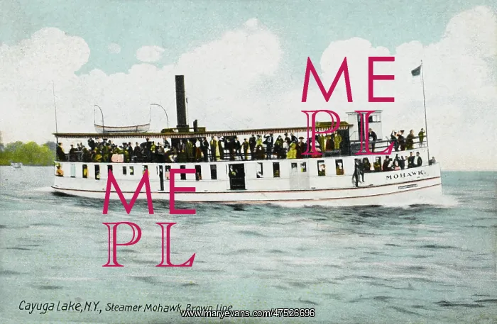 : Mohawk Steamer : Mohawk Steamer