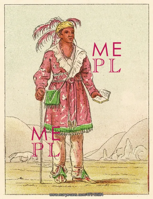  : MOHICAN MAN 1830