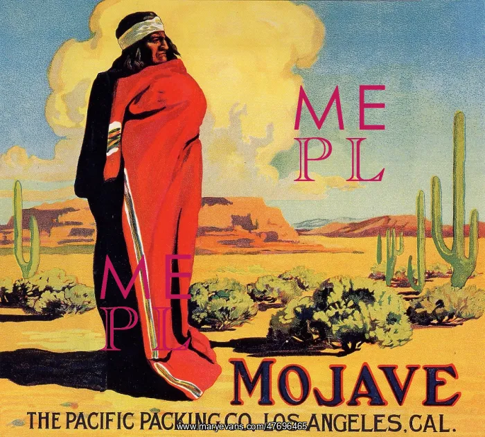  : Mojave in Desert