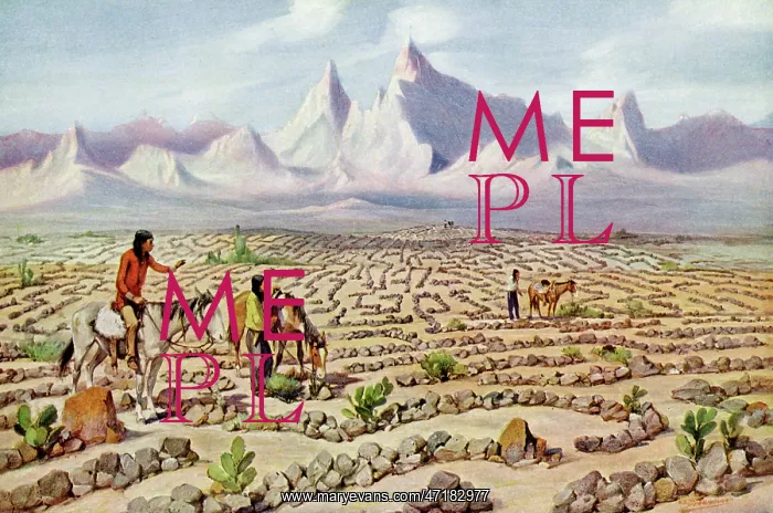 : MOJAVE MAZE : MOJAVE MAZE
