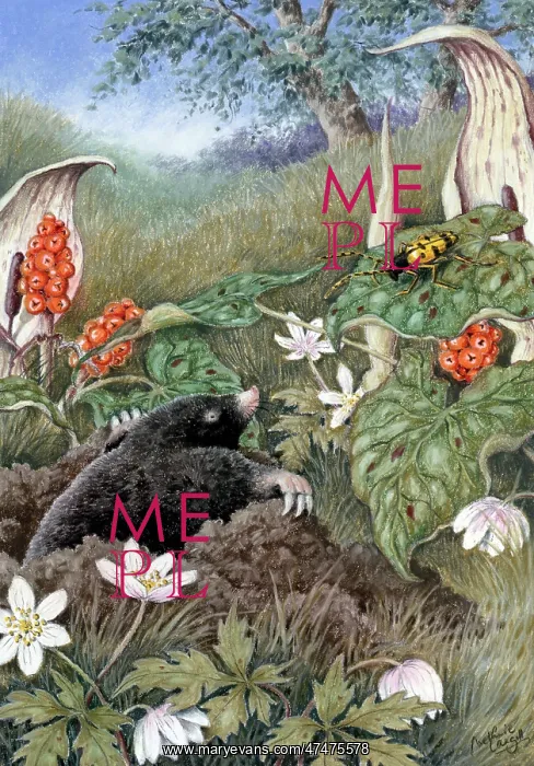  : Mole with Lords and Ladies