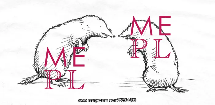 : Two moles - Illustration from the book Magic Houses'~~ : Two moles - Illustration from the book Magic Houses'~~