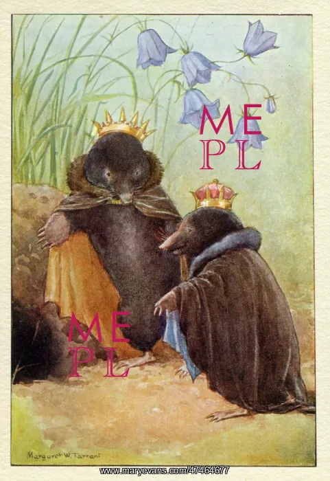 : Mole's Castle : Mole's Castle