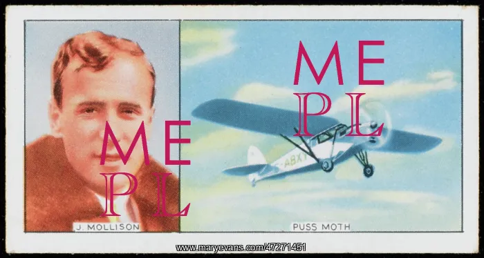 : Mollison - Puss Moth Plane : Mollison - Puss Moth Plane