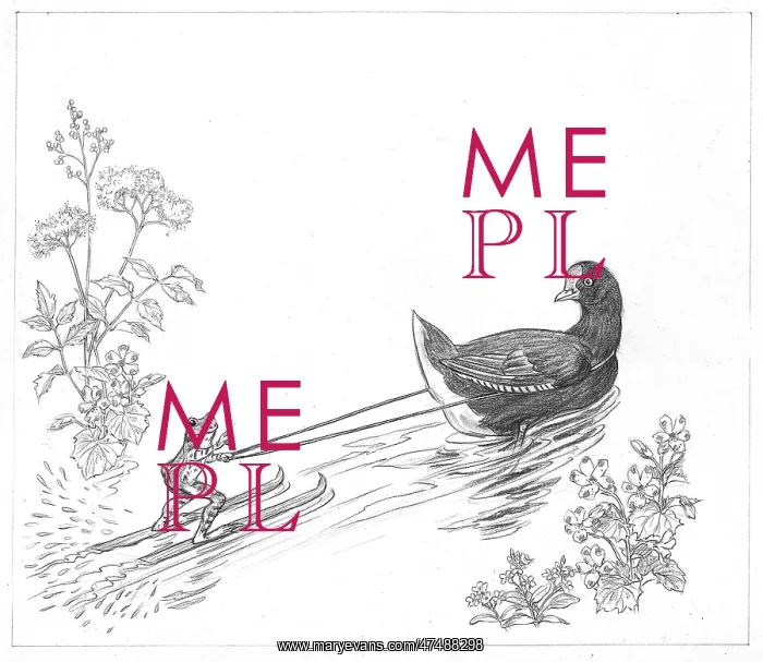  : Molly Brett - Flip Flop's Secret