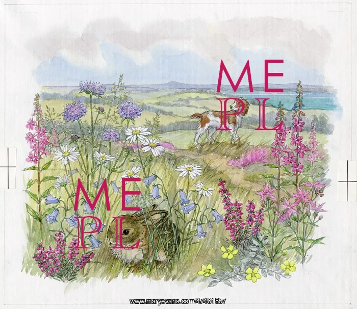  : Molly Brett - Hare in a Hurry