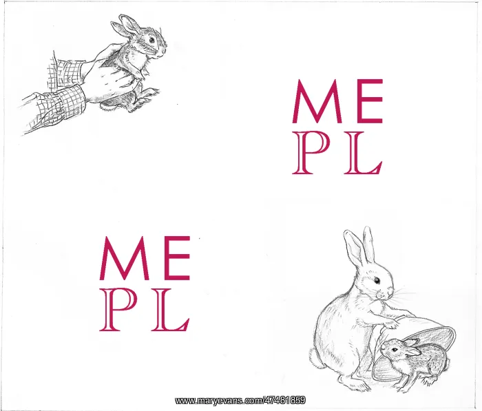  : Molly Brett - Hare in a Hurry