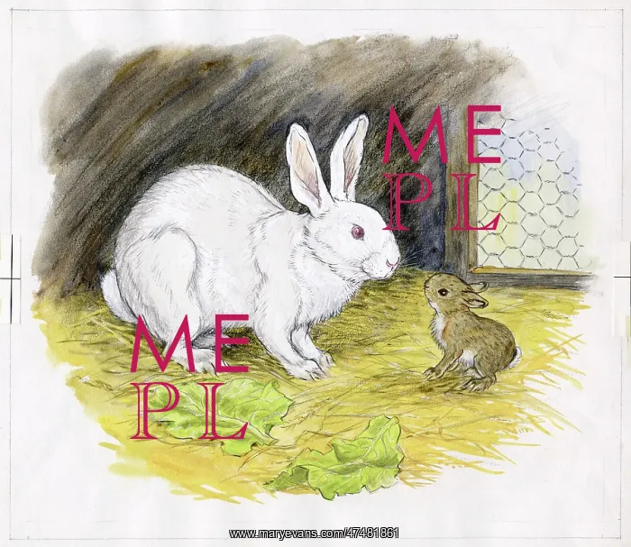  : Molly Brett - Hare in a Hurry