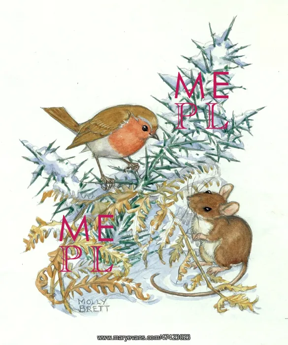 : Molly Brett Illustration : Molly Brett Illustration