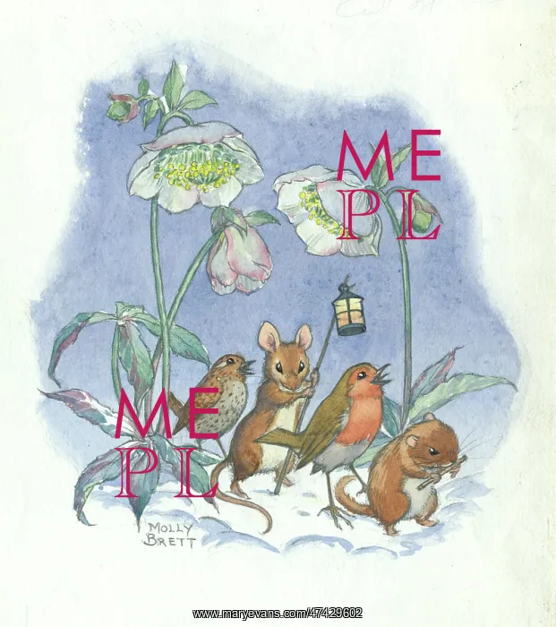 : Molly Brett Illustration : Molly Brett Illustration
