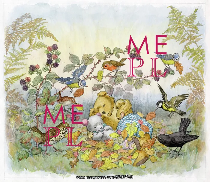  : Molly Brett - The Jumble Bears