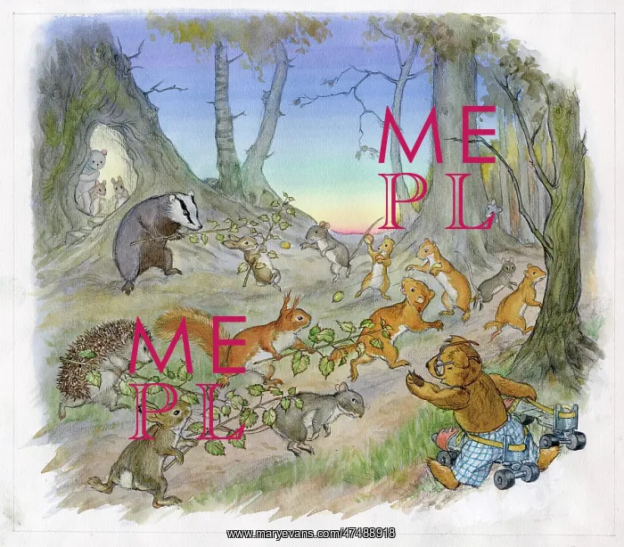  : Molly Brett - The Jumble Bears