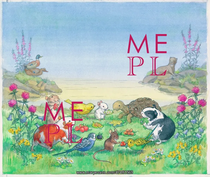  : Molly Brett - Midget and the Pet Shop