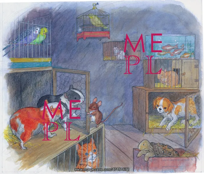  : Molly Brett - Midget and the Pet Shop