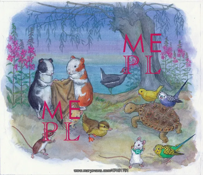  : Molly Brett - Midget and the Pet Shop