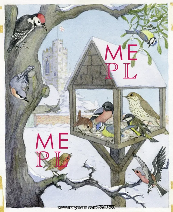  : Molly Brett - Robin Finds Christmas