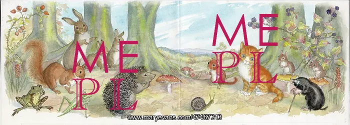 : Molly Brett - A Surprise for Dumpy