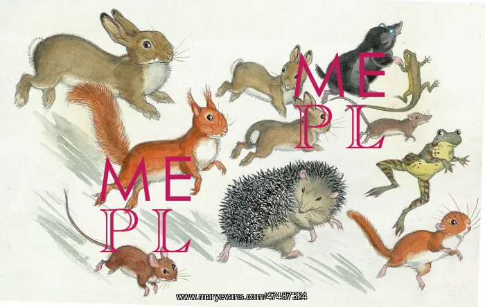  : Molly Brett - A Surprise for Dumpy