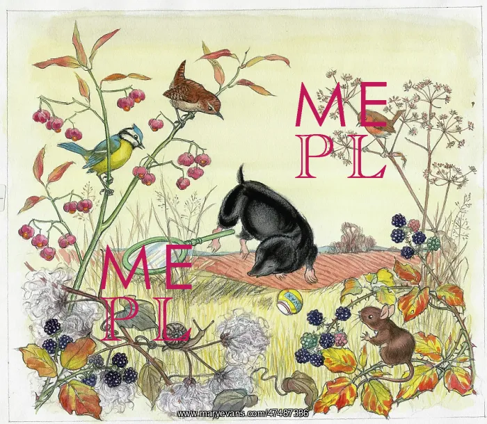  : Molly Brett - The Untidy Little Hedgehog