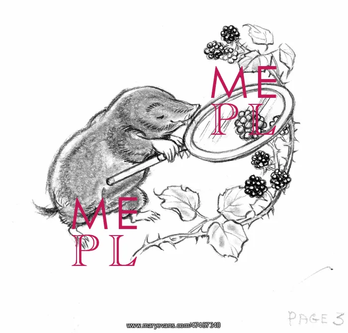  : Molly Brett - The Untidy Little Hedgehog