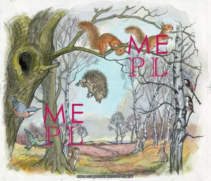  : Molly Brett - The Untidy Little Hedgehog