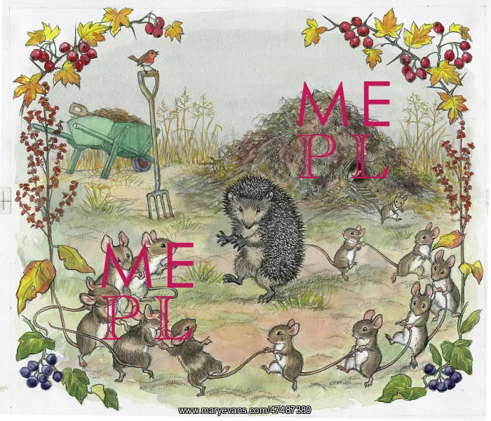  : Molly Brett - The Untidy Little Hedgehog