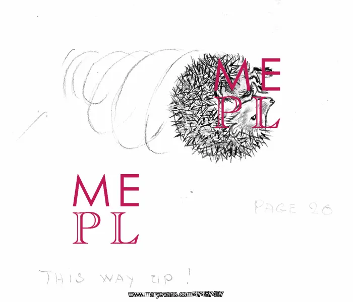  : Molly Brett - The Untidy Little Hedgehog