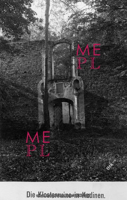 : Monastery ruins in Kadyn in West Prussia, 1906 : Monastery ruins in Kadyn in West Prussia, 1906