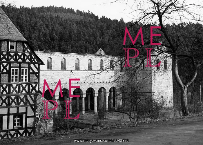 : Monastery ruins in Paulinzella, 1938 : Monastery ruins in Paulinzella, 1938