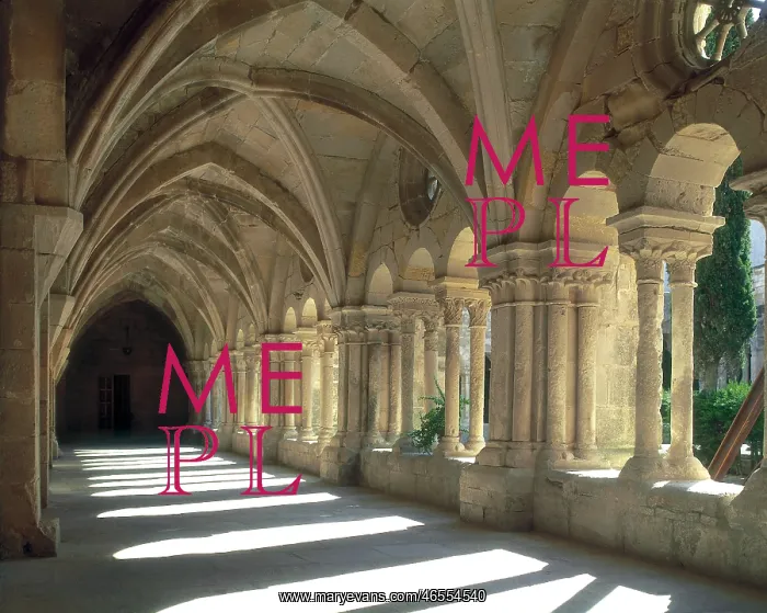 : Monastery of Santa Maria de Vallbona. SPAIN : Monastery of Santa Maria de Vallbona. SPAIN
