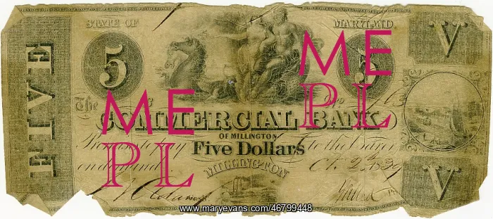 : money - currency - five dollars : money - currency - five dollars