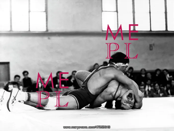 : Mongolian wrestlers : Mongolian wrestlers