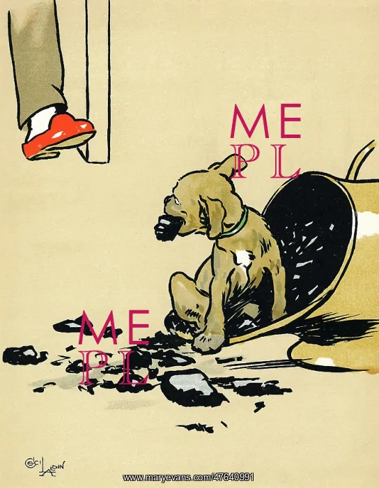 : Mongrel puppy eating coal : Mongrel puppy eating coal