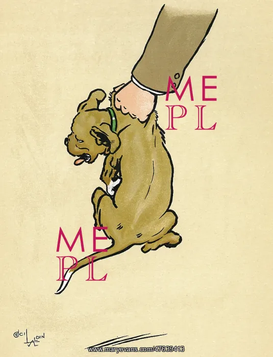: Mongrel puppy gets a beating : Mongrel puppy gets a beating