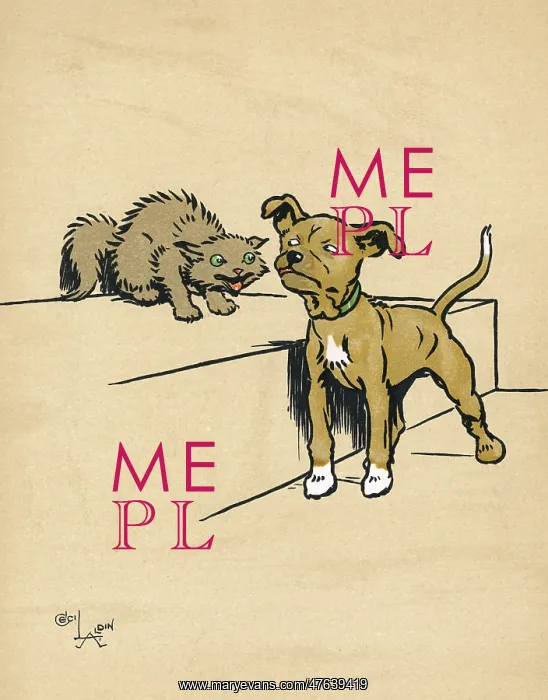 : Mongrel puppy with a kitten : Mongrel puppy with a kitten