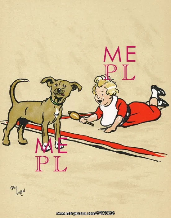 : Mongrel puppy and little boy with rattle : Mongrel puppy and little boy with rattle