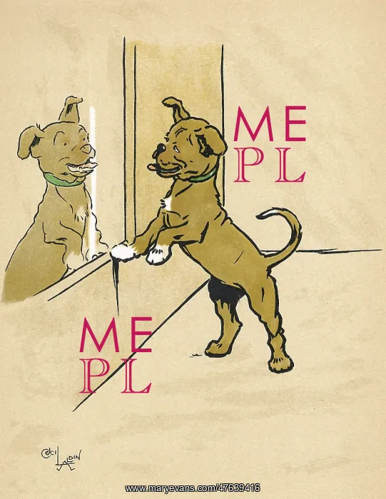 : Mongrel puppy looking in a mirror : Mongrel puppy looking in a mirror