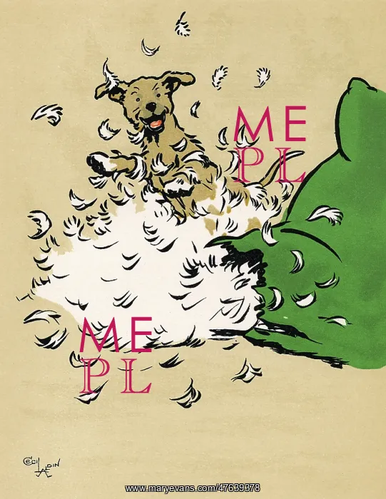 : Mongrel puppy makes a mess of a cushion : Mongrel puppy makes a mess of a cushion