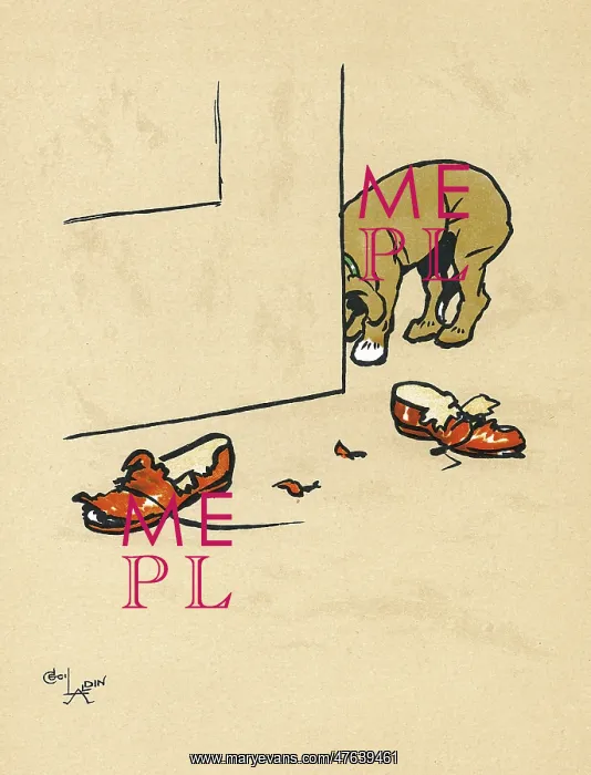 : Mongrel puppy ruins a pair of his master's shoes : Mongrel puppy ruins a pair of his master's shoes